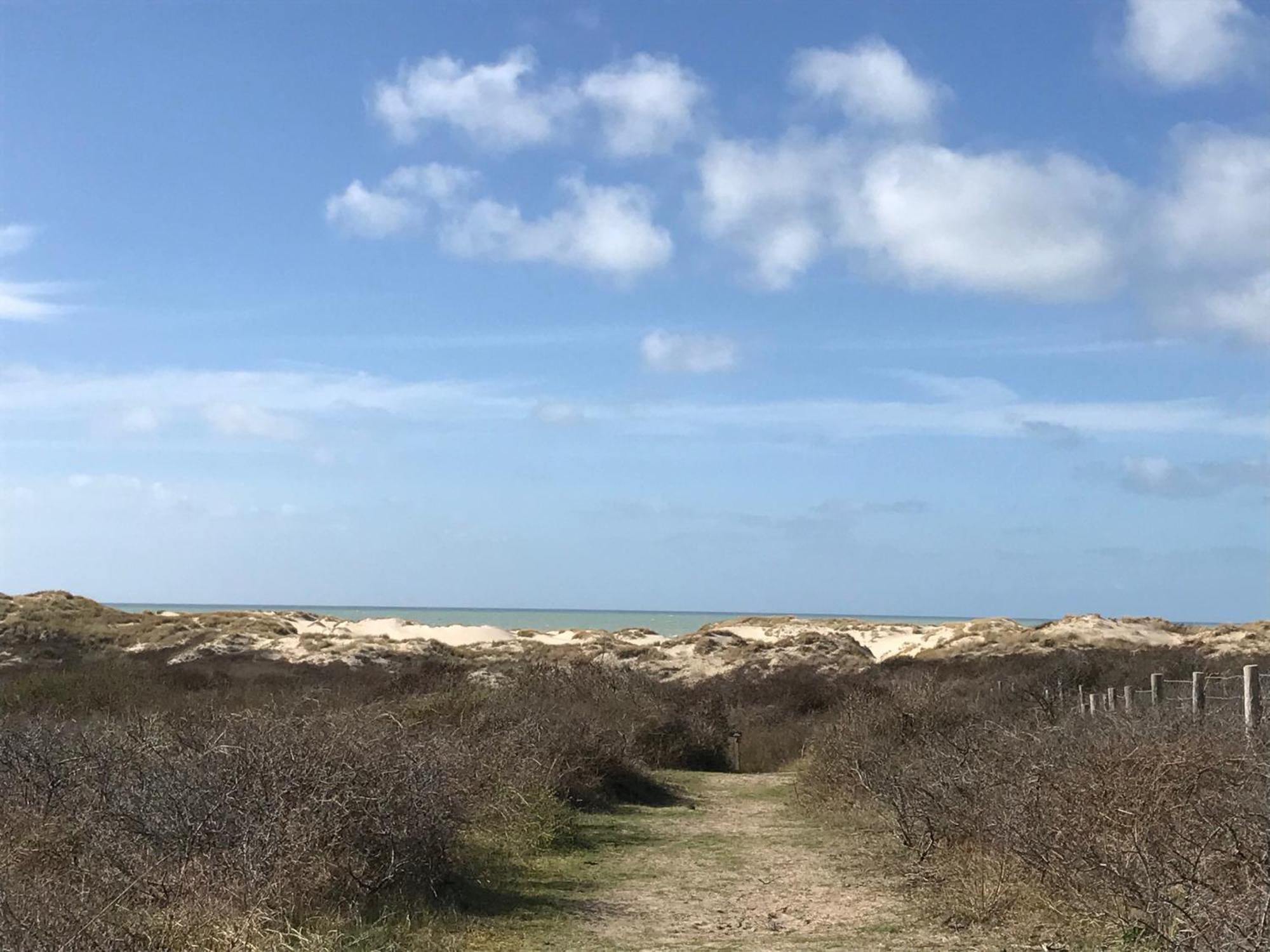 Petale De Rose, Dunes 3 Merlimont Plage Exteriör bild